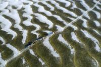 Bones of river